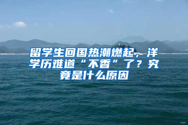 留学生回国热潮燃起，洋学历难道“不香”了？究竟是什么原因