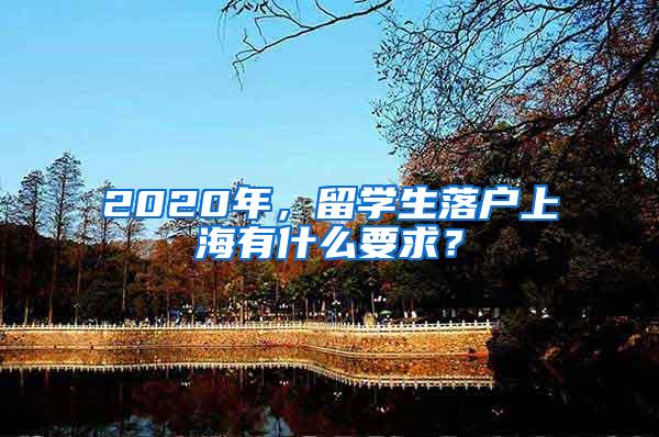 2020年，留学生落户上海有什么要求？