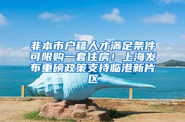 非本市户籍人才满足条件可限购一套住房！上海发布重磅政策支持临港新片区