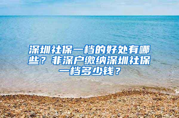 深圳社保一档的好处有哪些？非深户缴纳深圳社保一档多少钱？