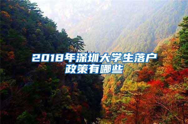 2018年深圳大学生落户政策有哪些