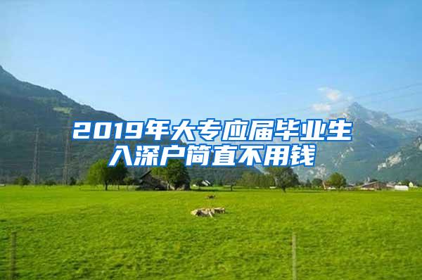 2019年大专应届毕业生入深户简直不用钱