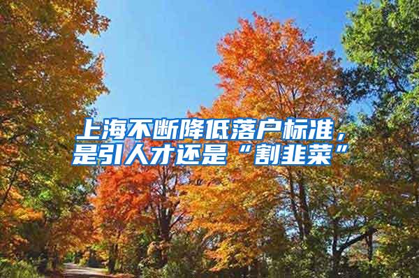 上海不断降低落户标准，是引人才还是“割韭菜”