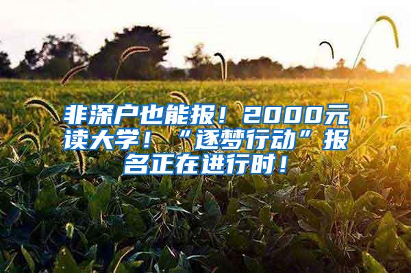 非深户也能报！2000元读大学！“逐梦行动”报名正在进行时！