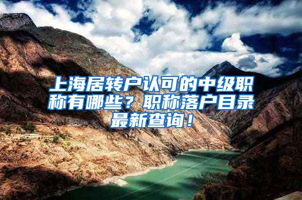 上海居转户认可的中级职称有哪些？职称落户目录最新查询！