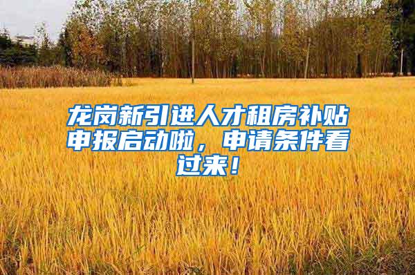 龙岗新引进人才租房补贴申报启动啦，申请条件看过来！