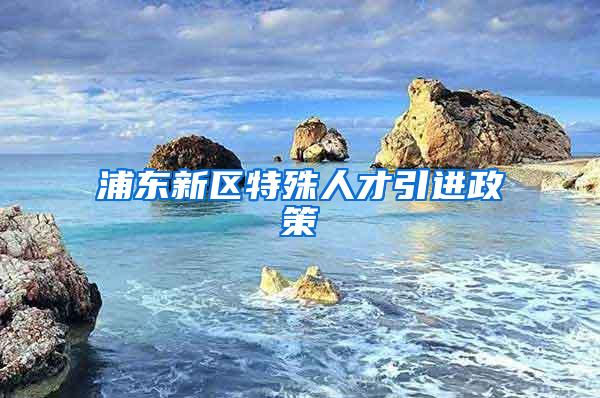 浦东新区特殊人才引进政策