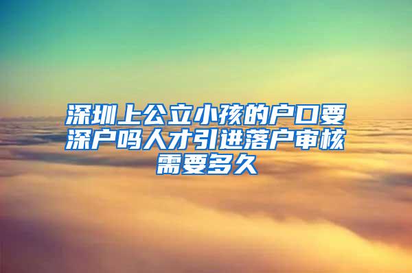 深圳上公立小孩的户口要深户吗人才引进落户审核需要多久