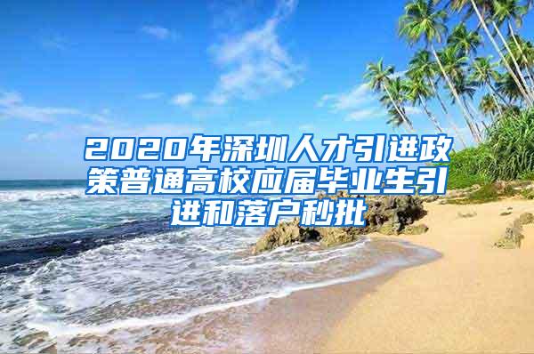2020年深圳人才引进政策普通高校应届毕业生引进和落户秒批