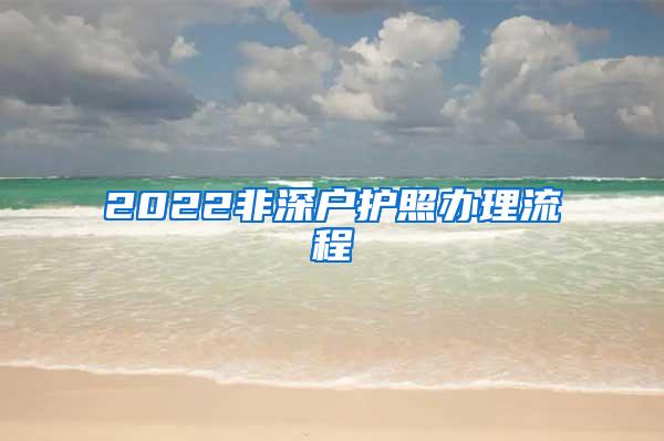 2022非深户护照办理流程