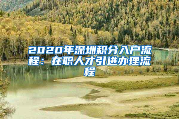 2020年深圳积分入户流程：在职人才引进办理流程