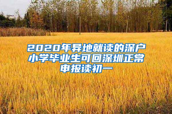 2020年异地就读的深户小学毕业生可回深圳正常申报读初一