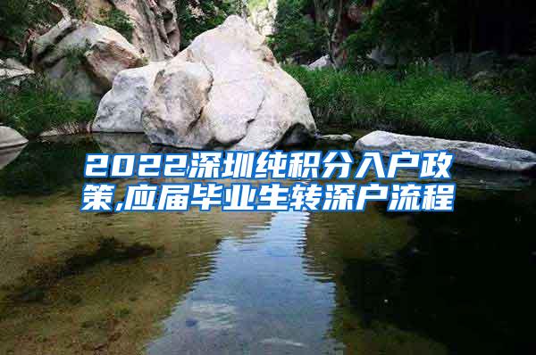 2022深圳纯积分入户政策,应届毕业生转深户流程