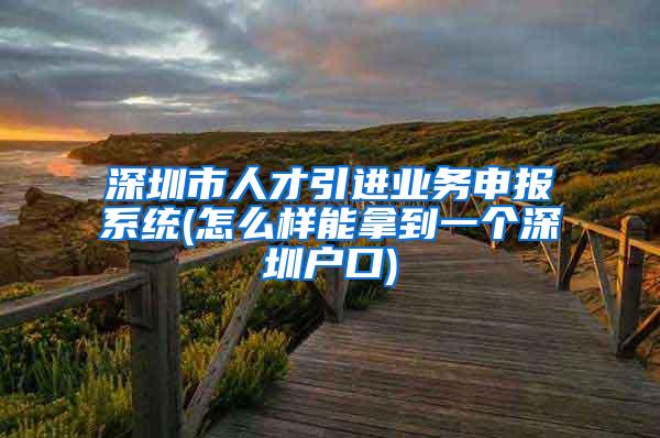 深圳市人才引进业务申报系统(怎么样能拿到一个深圳户口)