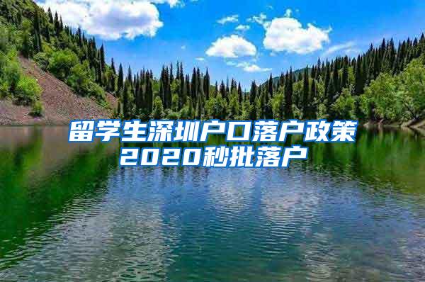 留学生深圳户口落户政策2020秒批落户