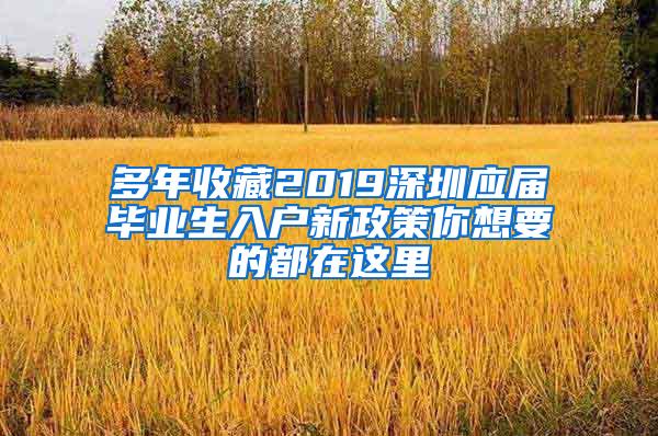 多年收藏2019深圳应届毕业生入户新政策你想要的都在这里