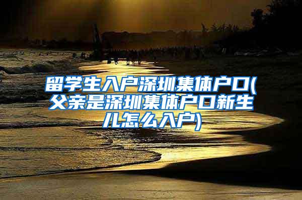 留学生入户深圳集体户口(父亲是深圳集体户口新生儿怎么入户)