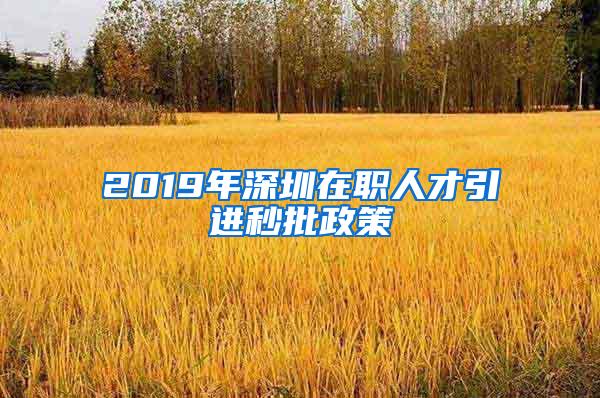 2019年深圳在职人才引进秒批政策