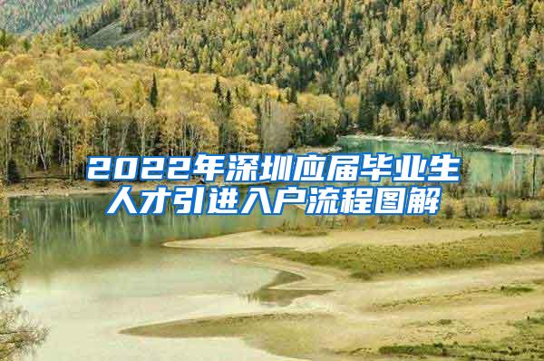 2022年深圳应届毕业生人才引进入户流程图解