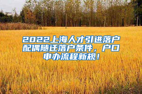 2022上海人才引进落户配偶随迁落户条件，户口申办流程新规！