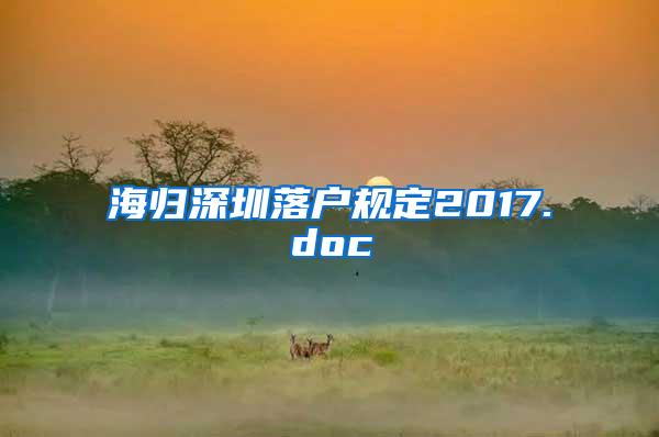 海归深圳落户规定2017.doc