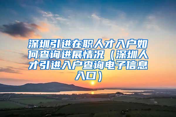 深圳引进在职人才入户如何查询进展情况（深圳人才引进入户查询电子信息入口）