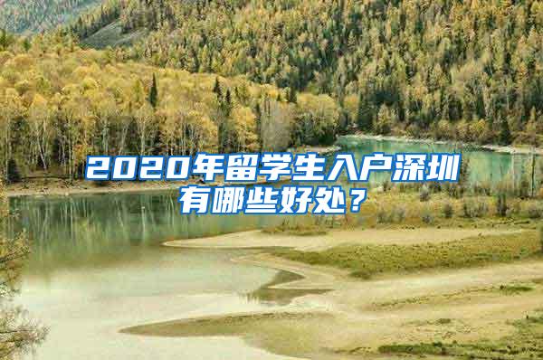 2020年留学生入户深圳有哪些好处？