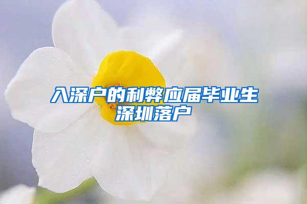 入深户的利弊应届毕业生深圳落户