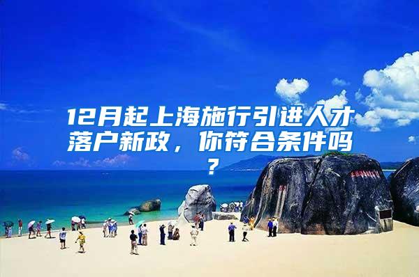 12月起上海施行引进人才落户新政，你符合条件吗？