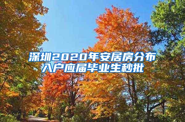 深圳2020年安居房分布入户应届毕业生秒批