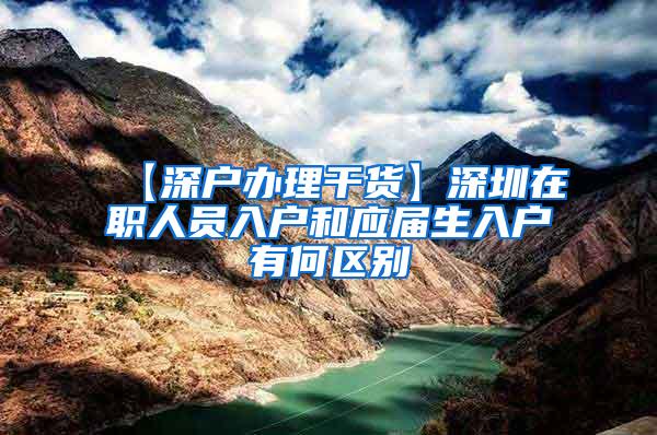 【深户办理干货】深圳在职人员入户和应届生入户有何区别