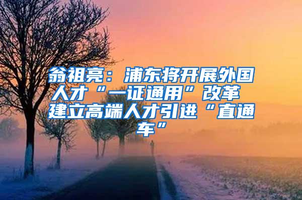 翁祖亮：浦东将开展外国人才“一证通用”改革 建立高端人才引进“直通车”