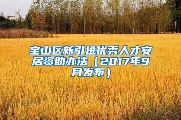 宝山区新引进优秀人才安居资助办法（2017年9月发布）