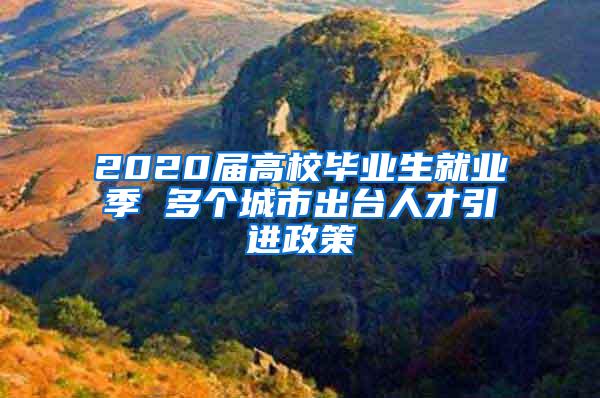 2020届高校毕业生就业季 多个城市出台人才引进政策