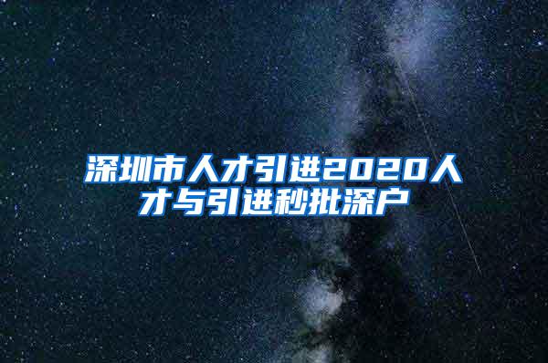 深圳市人才引进2020人才与引进秒批深户