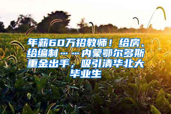 年薪60万招教师！给房、给编制……内蒙鄂尔多斯重金出手，吸引清华北大毕业生