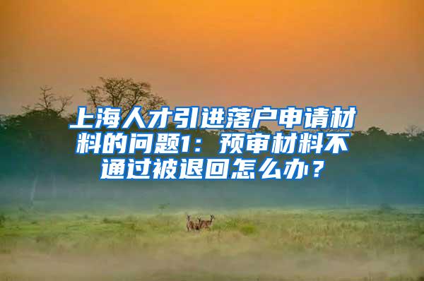 上海人才引进落户申请材料的问题1：预审材料不通过被退回怎么办？