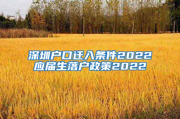 深圳户口迁入条件2022应届生落户政策2022