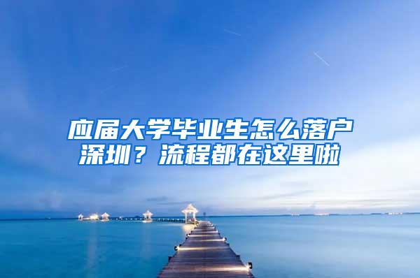 应届大学毕业生怎么落户深圳？流程都在这里啦