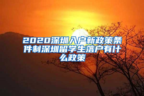 2020深圳入户新政策条件制深圳留学生落户有什么政策
