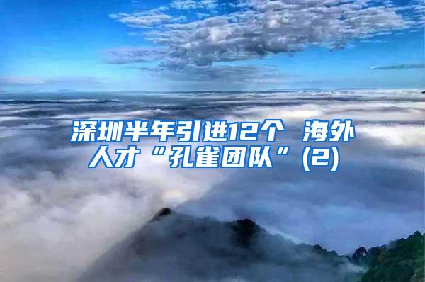 深圳半年引进12个 海外人才“孔雀团队”(2)