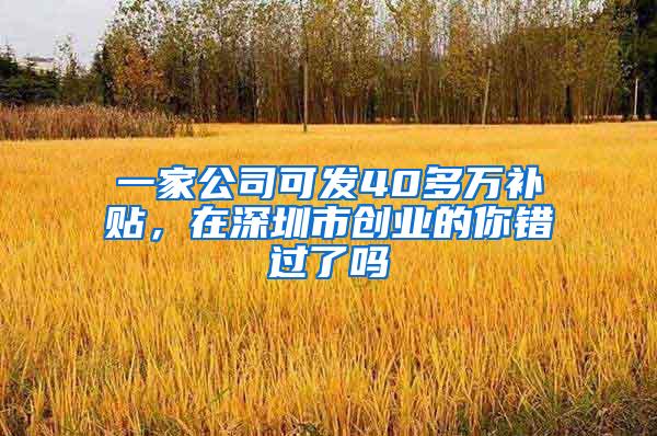 一家公司可发40多万补贴，在深圳市创业的你错过了吗