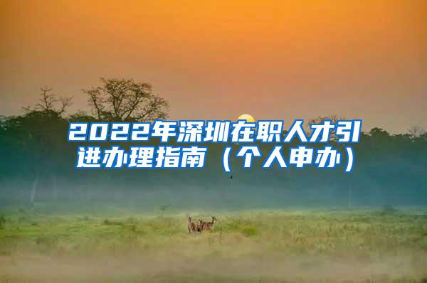 2022年深圳在职人才引进办理指南（个人申办）