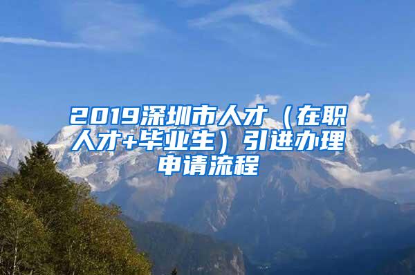 2019深圳市人才（在职人才+毕业生）引进办理申请流程