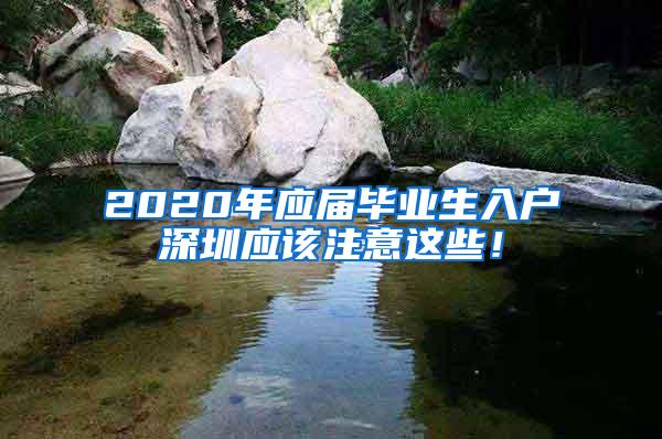 2020年应届毕业生入户深圳应该注意这些！