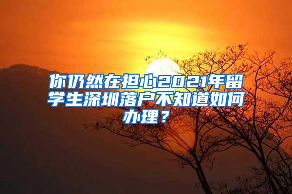 你仍然在担心2021年留学生深圳落户不知道如何办理？