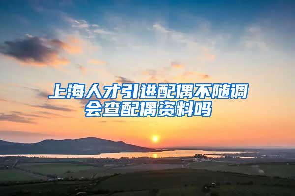 上海人才引进配偶不随调会查配偶资料吗