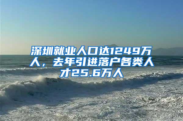 深圳就业人口达1249万人，去年引进落户各类人才25.6万人