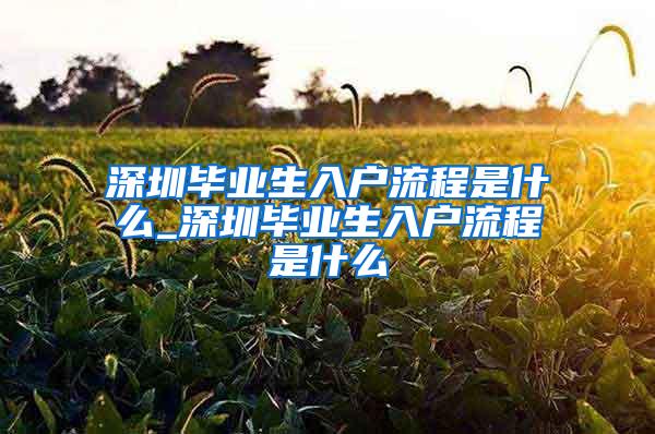 深圳毕业生入户流程是什么_深圳毕业生入户流程是什么