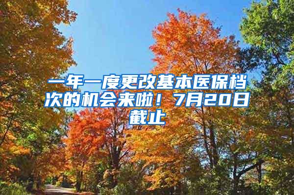 一年一度更改基本医保档次的机会来啦！7月20日截止